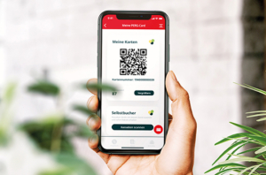 Hand hält Smartphone, auf dem die PERG-Card-App angezeigt wird, im Vordergrund dekorative Pfalnzen
