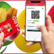 OsterdrEIER-Gewinnspiel Collage mit PERG-Card App und Karte sowie Tulpen, im Hintergrund drei Eier