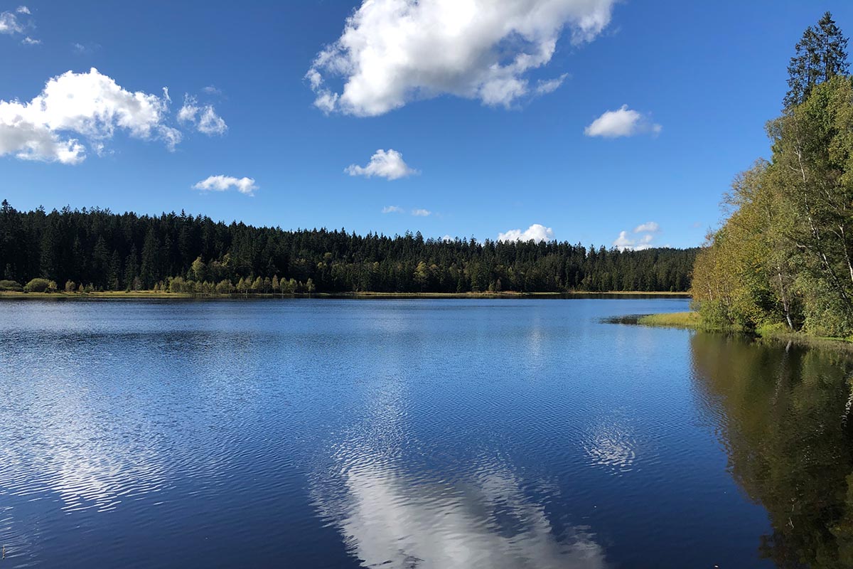 Wasser-Luft-Klimaschutz